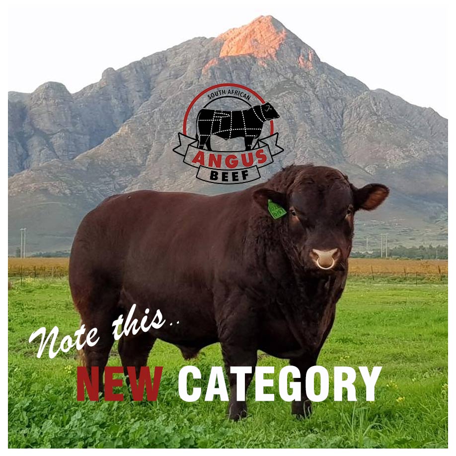 New-Category-ANGUS